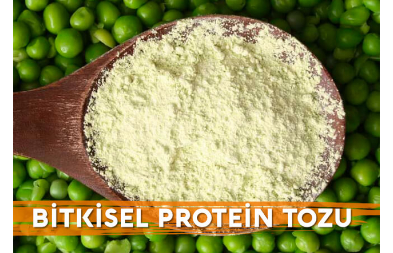 Bitkisel Protein Tozu Nedir ve Nasıl Kullanılır?