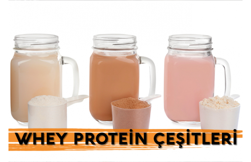 Whey Protein Çeşitleri Nelerdir